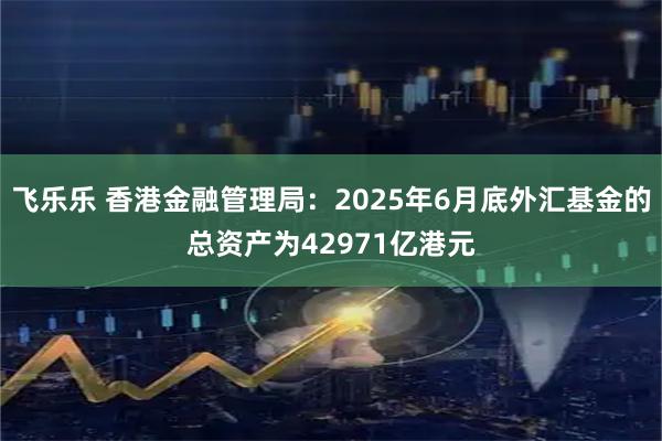 飞乐乐 香港金融管理局：2025年6月底外汇基金的总资产为42971亿港元